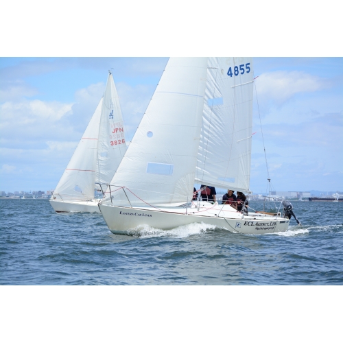 オフショアセーリング部　日本代表