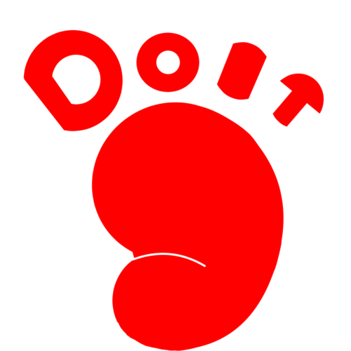学生団体DOIT