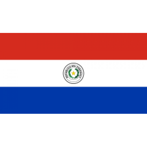 南米パラグアイでボランティア活動