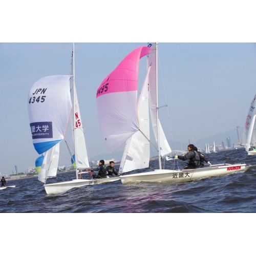 体育会ヨット部